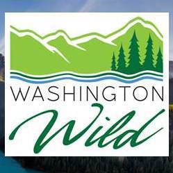 Team Page: Washington Wild